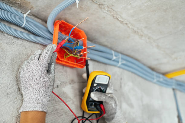 Best Generator Installation Services  in Wardsville, MO